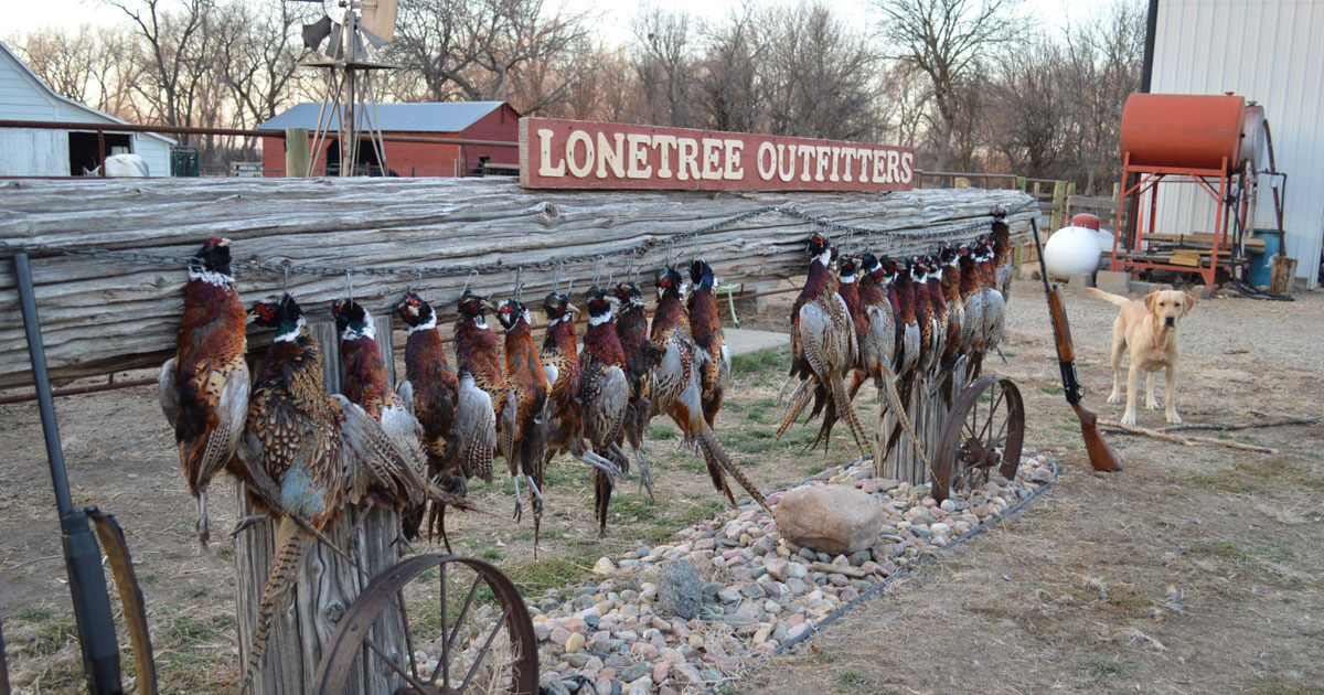 LoneTree Outfitters — photo 1